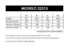 Modelo 22313