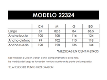 Modelo 22324